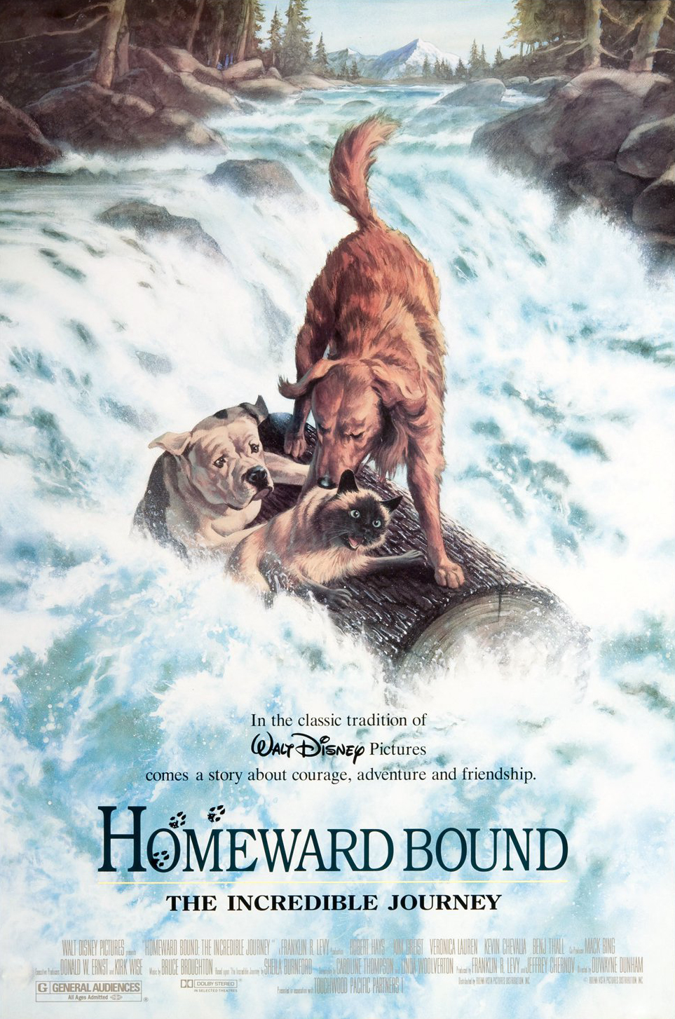 ดูหนังออนไลน์ฟรี Homeward Bound The Incredible Journey (1993) 2 หมา 1 แมว ใครจะพรากเราไม่ได้