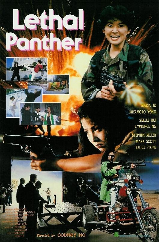 ดูหนังออนไลน์ฟรี Lethal Panther (1990) โหดล้างเมือง