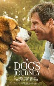 ดูหนังออนไลน์ฟรี A Dogs Journey (2019) หมา เป้าหมาย และเด็กชายของผม 2