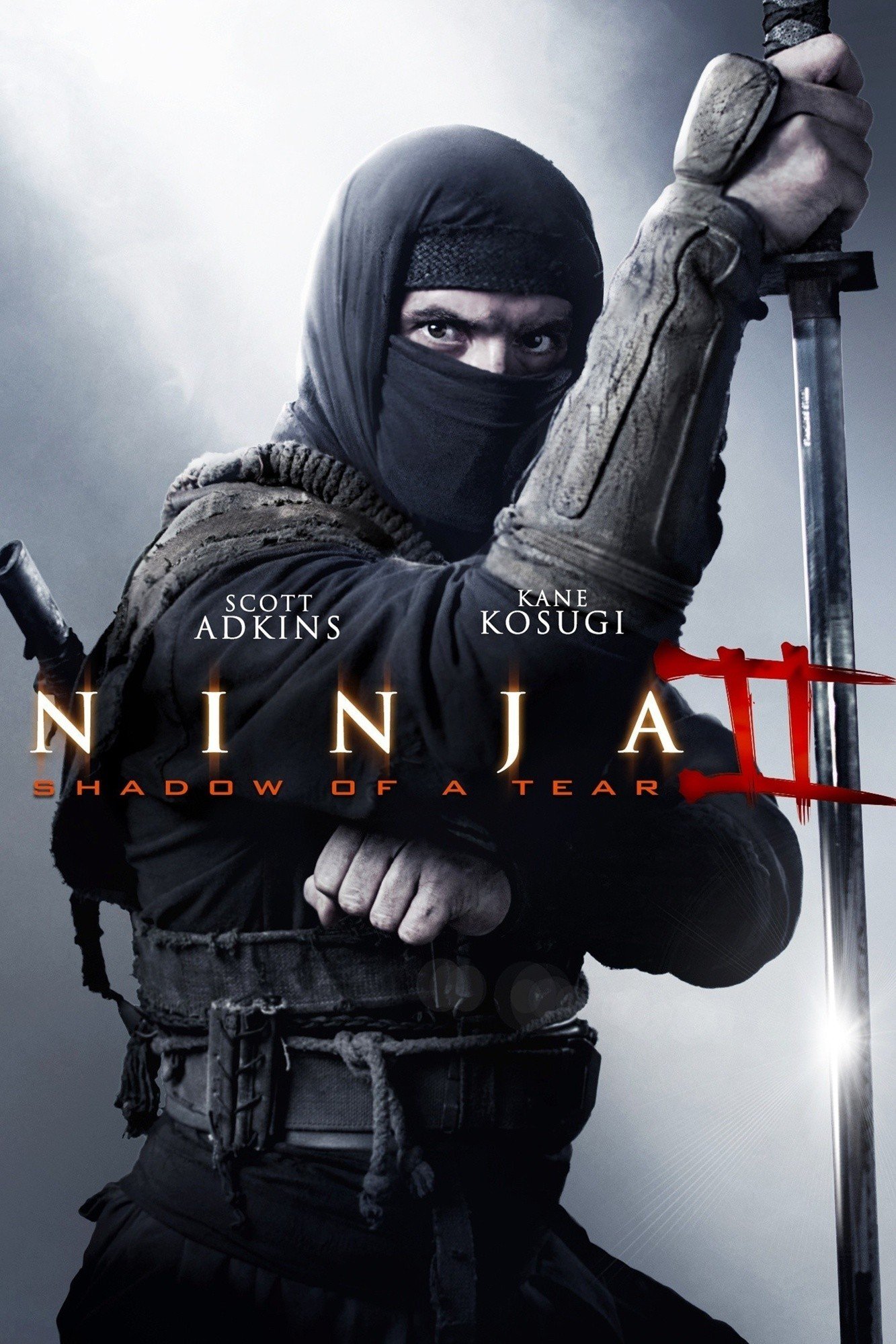 ดูหนังออนไลน์ฟรี Ninja shadow of a tear (2013) นินจา 2 น้ําตาเพชฌฆาต