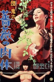 ดูหนังออนไลน์ฟรี Skin of Roses (1978) หนังผู้ใหญ่ญี่ปุ่นในตำนาน