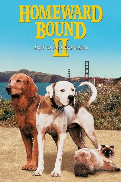 ดูหนังออนไลน์ฟรี Homeward Bound II- Lost in San Francisco (1996) 2 หมา 1 แมว หายไปในซานฟรานซิสโก
