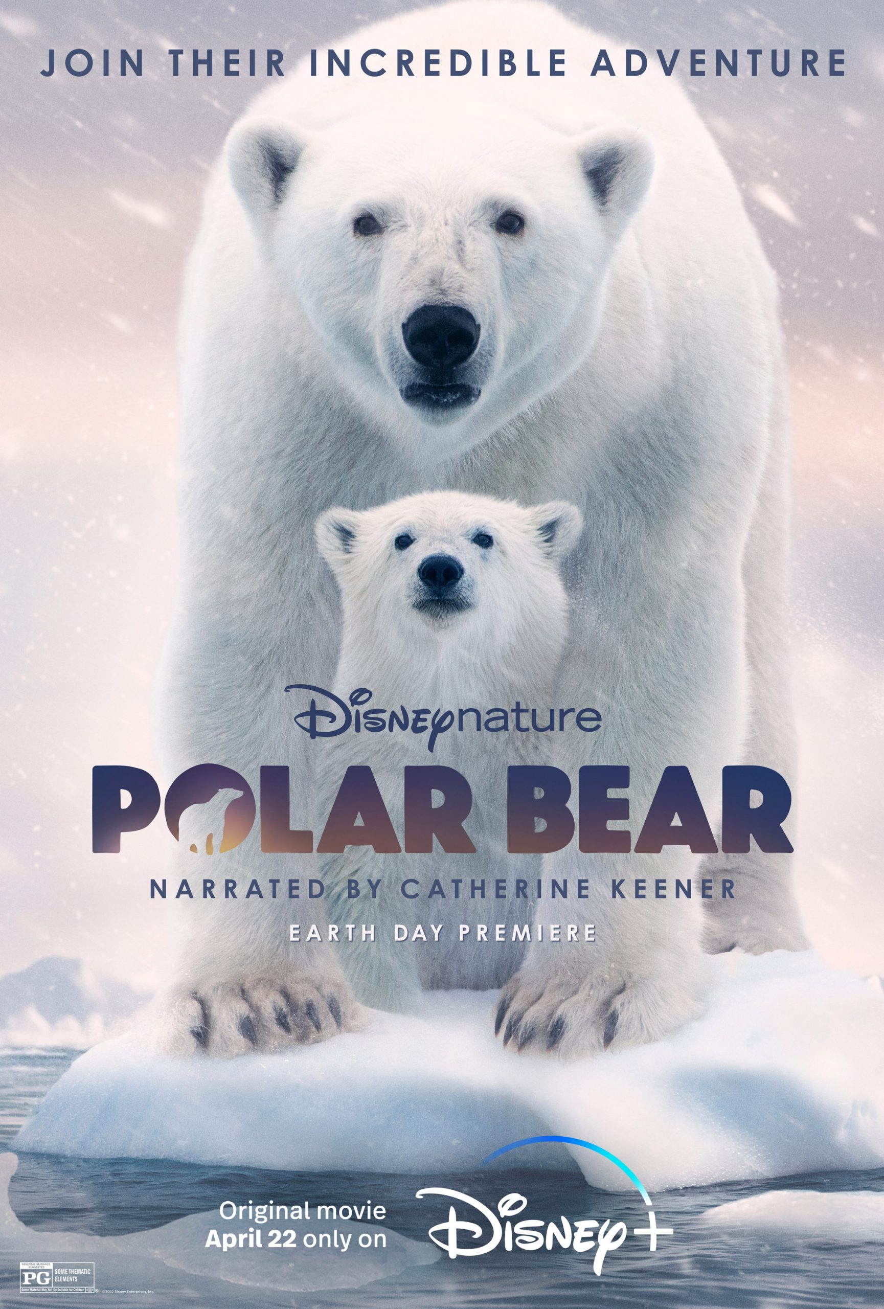 ดูหนังออนไลน์ฟรี Polar Bear (2022)